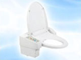 Body-cleaning toilet seat